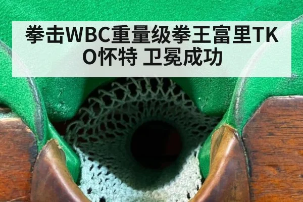 拳击WBC重量级拳王富里TKO怀特 卫冕成功
